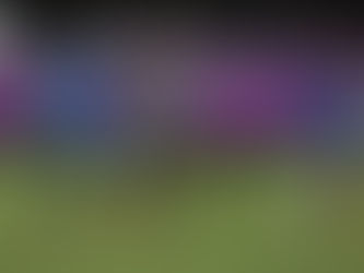 Los Guerreros se declararon listos para debutar en la leagues cup