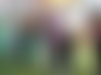 Entrega MARS campo de beisbol para niñas, niños y jóvenes de Arteaga