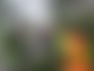 CARRETERAS DE LA PENÍNSULA DE YUCATÁN NO REPORTAN AFECTACIONES RELEVANTESANTE ENTRADA DE LA