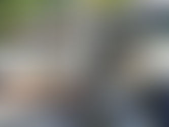 Atención a mascotas fallecidas