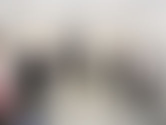 TOMAN PROTESTA DIRECTIVOS EN COMITÉ INTERDISCIPLINARIO DE ARCHIVOS DEL MUNICIPIO DE LERDO