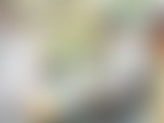 DESARROLLO SOCIAL ENTREGA APOYOS PARA VIVIENDA EN LERDO