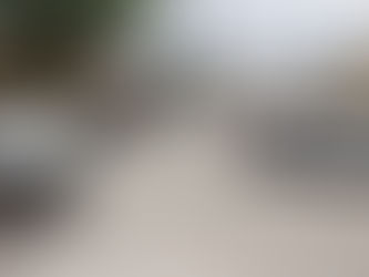 Ley Seca y Resguardo de Vehículos Oficiales.