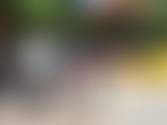 SUPERVISA HOMERO MARTÍNEZ ARRANQUE DE LA SEGUNDA ETAPA DE REMODELACIÓN DEL PARQUE VICTORIA