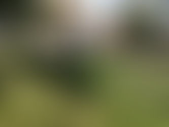 PARQUES Y JARDINES DE LERDO DAN MANTENIMIENTO A ESCUELAS