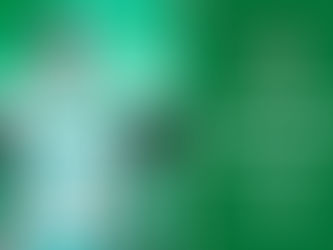 Club Santos Laguna Informa: