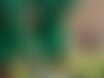 “La competencia sana nos mejora como grupo”: Ibargüen