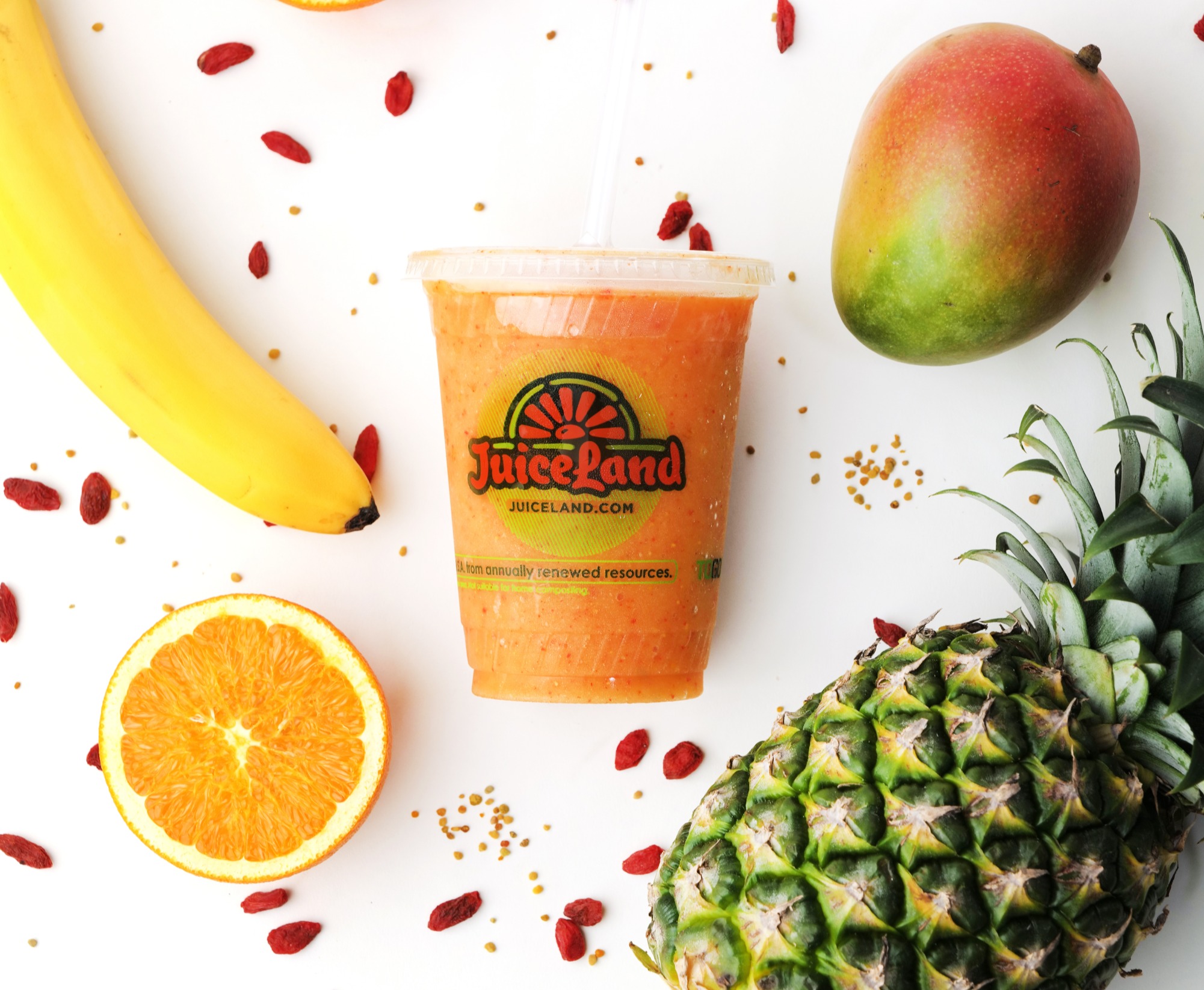 Netgain Customer - JuiceLand