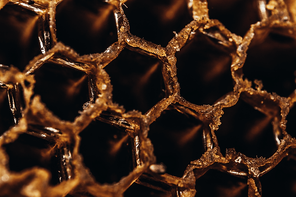 Honeycomb_Vivek_Doshi-2160x1440.png