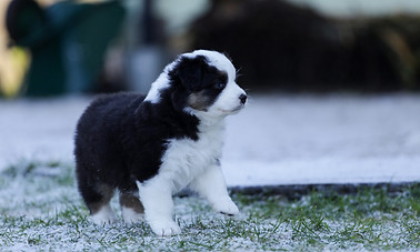 20231219132944_IMG_2349 (1).jpg