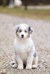 20240117142531_1Q9A2357 (1).jpg