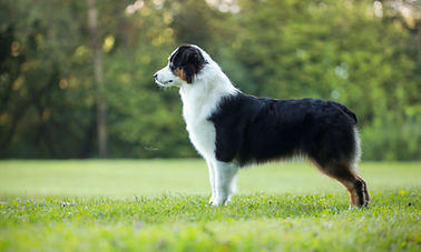 20240811081408_1Q9A5243 (1).jpg