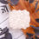 Thumbnail: Pumpkin pattern