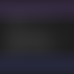 South Asian Digital Art Mission Statement - III