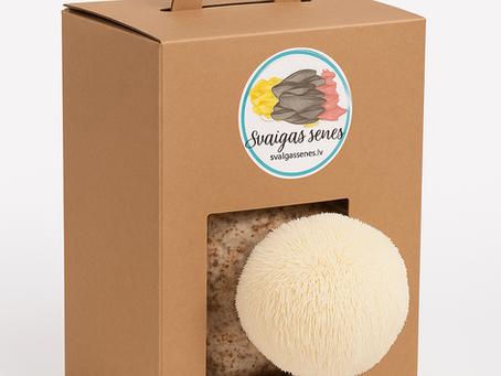 Mushroom growing kits – easy, interesting and healthy