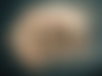 Гриб ежик волосатый: глубокий сон и энергия с грибами Svaigassenes.lv