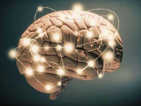 Гриб ежик волосатый: глубокий сон и энергия с грибами Svaigassenes.lv