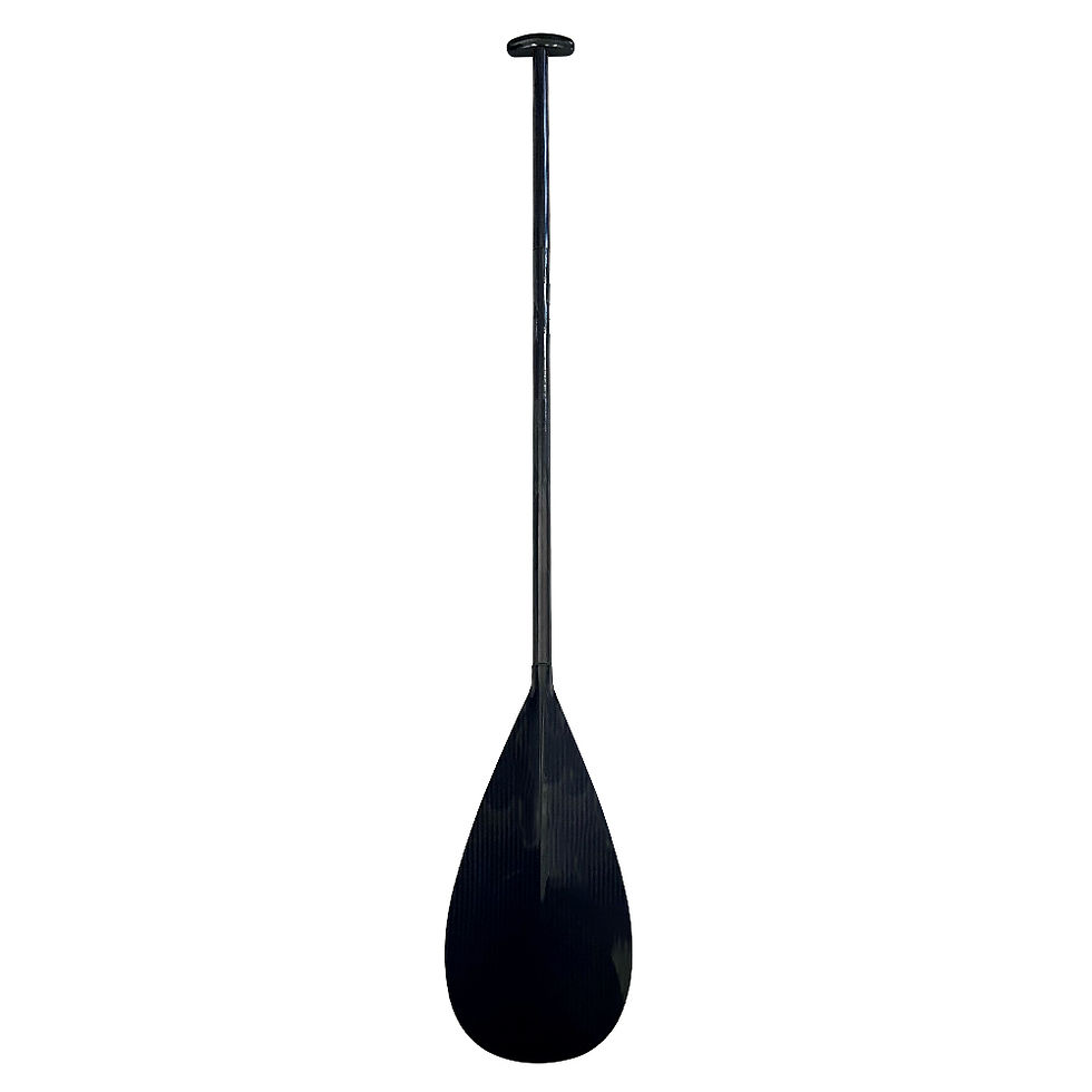 Miniatura: Ariki H - Full Composite Carbon