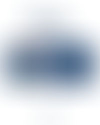 Fafe volta a fazer história no Europeu de Ralis Históricos