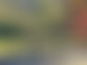 Mulher de 60 anos morre em Revelhe após ser atingida por carneiro
