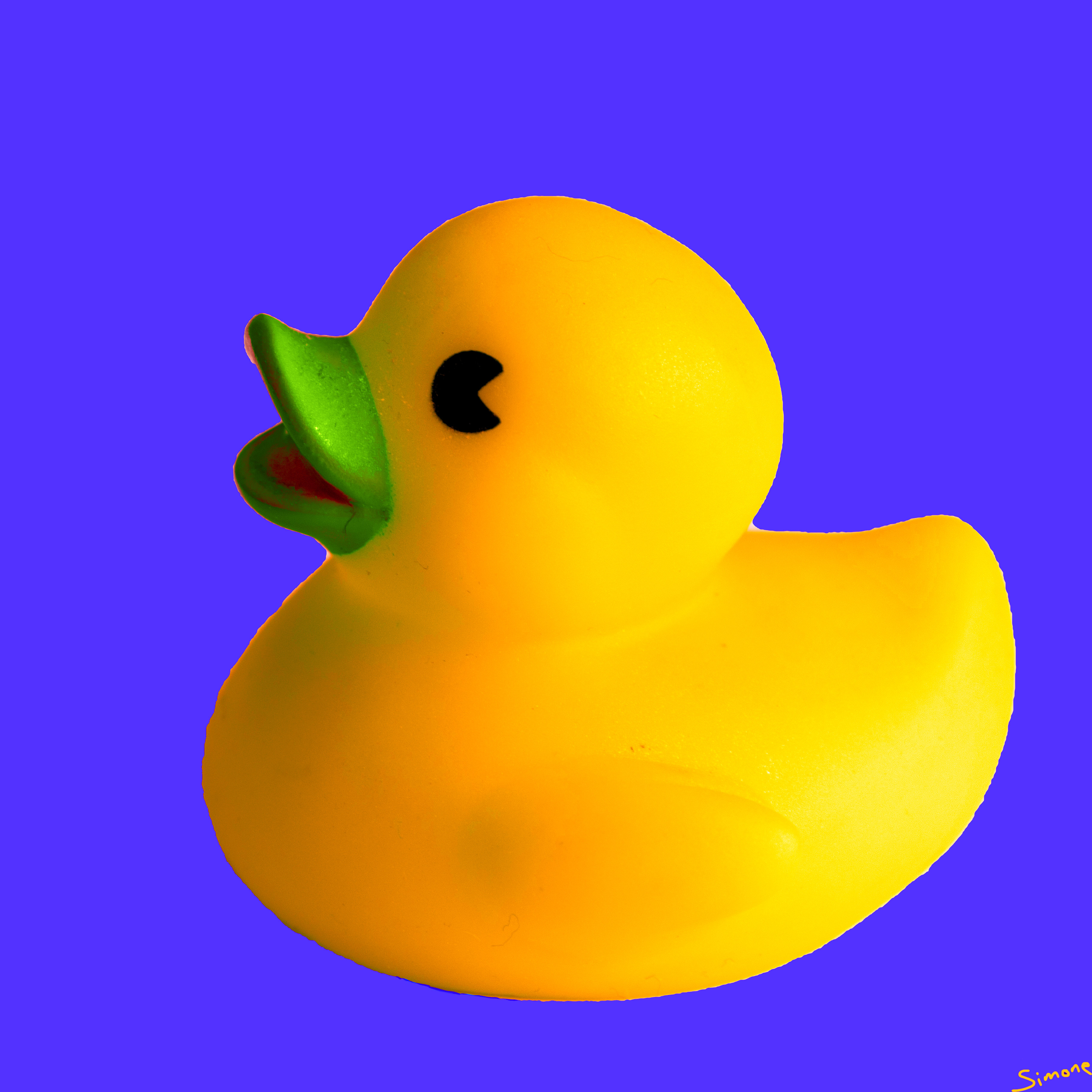 yellow duckie