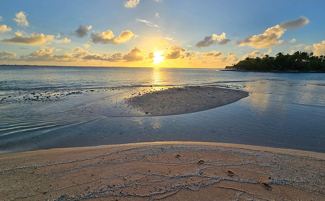 WhatsApp Image 2026-01-26 at 8.40.46 PM (2).jpeg