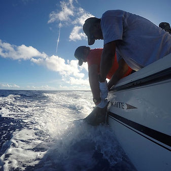 Guests landing a fish on an offshore sportfishing excursion with Bokanbotin Island Resort in the Marshall Islands