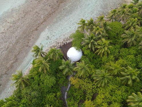 Aerial view of a white glamping dome nestled among palm trees beside the shore at Bokanbotin Island Resort