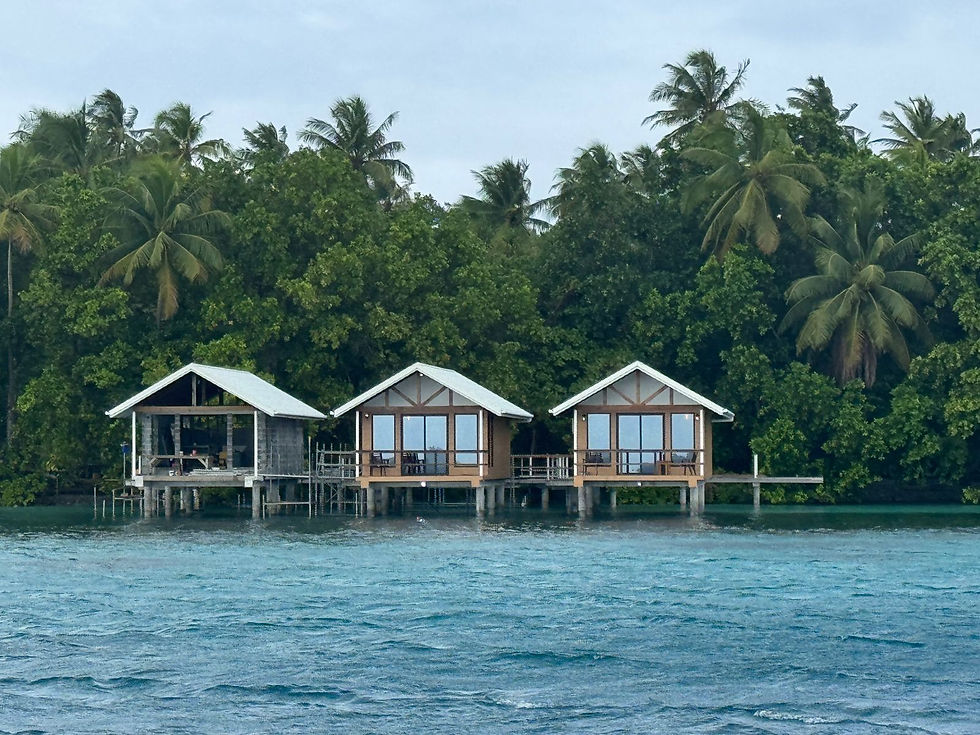 WhatsApp Image 2025-12-06 at 21.29.47_f0f82b4c (1).jpg