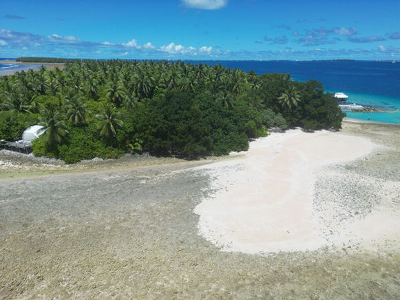 Aerial view of the palm-covered island and white sand beach ringed by coral reef at Bokanbotin, Marshall Islands