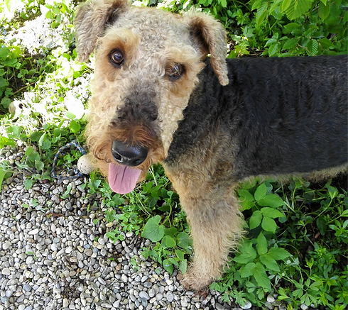 IMG_20150426_115603 (1)_edited.png