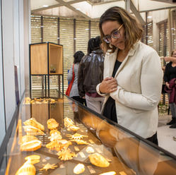Instituto Butantan apresenta exposição sobre moluscos: “Joias vivas - Mas será que é só isso?”