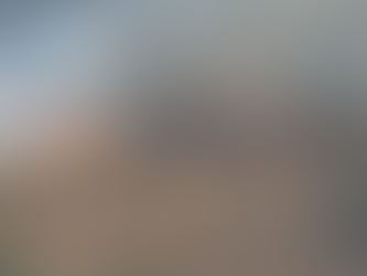 Força-tarefa controla incêndio na Floresta Nacional de Brasília