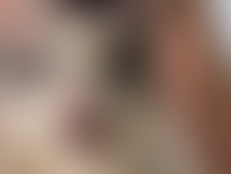 Esquema de venda ilegal de sangue de gatos em SP: animais serão disponibilizados para adoção, diz prefeitura