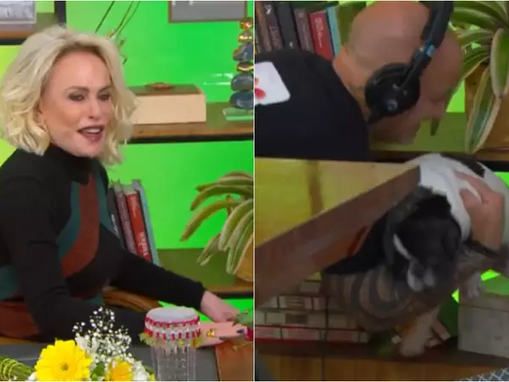 Cachorrinha de Ana Maria Braga invade cenário do 'Mais Você' e provoca confusão ao vivo