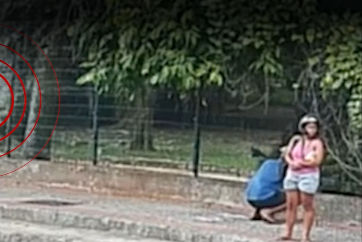 Casal é preso tentando roubar animais silvestres no Jardim Botânico: foragidos há meses, já haviam separado filhote da mãe