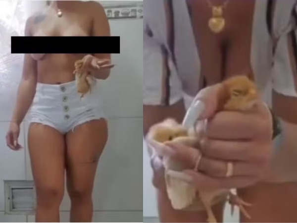 Imagem dividida em duas partes mostrando capturas de tela de um vídeo. À esquerda, uma mulher aparece em plano médio vestindo um shorts jeans branco curto e com o tronco parcialmente visível, segurando pequenos pintinhos amarelos vivos na mão. À direita, um plano detalhado foca em sua mão com unhas longas pintadas, segurando e apertando firmemente um dos filhotes perto de seu peito, onde ela usa um colar com pingente dourado em formato de coração.