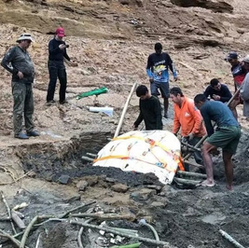 escavação de fóssil de tartaruga gigante