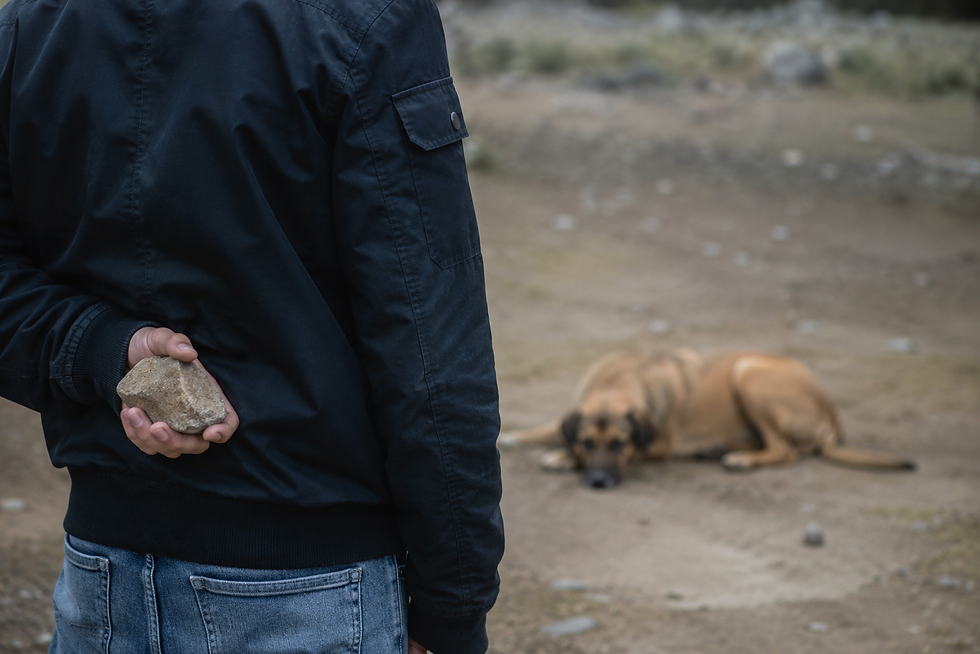 Vista pelas costas de uma pessoa vestindo jaqueta escura e calça jeans, que esconde uma pedra na mão atrás das costas. Ao fundo e fora de foco, um cachorro caramelo de grande porte está deitado no chão de terra batida, parecendo observar a situação de forma vulnerável.