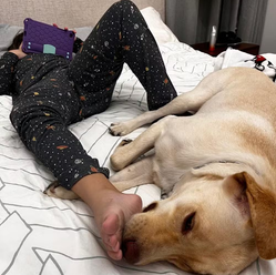 "Meltdown": Cão de apoio emocional é barrado em voo e separação desencadeia crises em criança autista