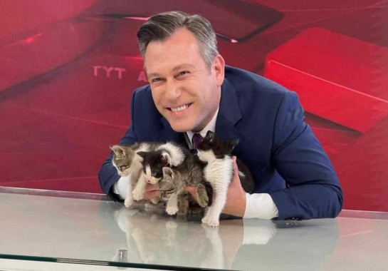 Gata invade estúdio de TV com filhotes e apresentador encerra jornal ao vivo com apelo por adoção