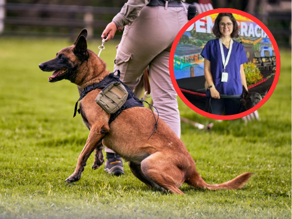 Um cachorro da raça Pastor Belga Malinois, vestindo um colete tático preto com um bolso verde-oliva acoplado na lateral, aparece em primeiro plano em um gramado verde, segurado por uma guia por um agente de segurança fardado de calça caqui. No canto superior direito, há um recorte circular destacado por uma borda vermelha que exibe uma mulher de óculos e uniforme cirúrgico azul escuro (scrub), usando um crachá no pescoço e sorrindo em um evento interno.
