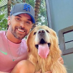 Lei Joca avança no Senado e muda regras para transporte aéreo de pets; veja o que ficou definido