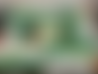 Ração contaminada provoca morte de 245 cavalos em quatro estados brasileiros