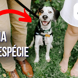 Família Multiespécie