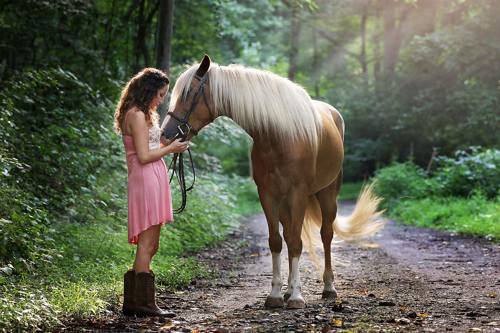 Uma jovem mulher com longos cabelos cacheados, vestindo um vestido rosa claro e botas de couro marrons, está de pé em uma trilha de terra cercada por uma floresta densa e verde. Ela segura suavemente as rédeas e acaricia o focinho de um cavalo da raça Haflinger, que possui pelagem castanha dourada e uma crina longa e cauda de cor branca clara, em um momento de conexão sob raios suaves de sol que filtram entre as árvores ao fundo.