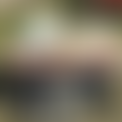 ovelha em uma cadeira de rodas improvisada