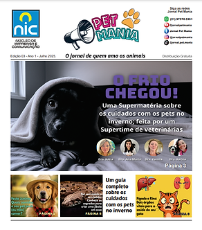 edicao 3 - CAPA.png