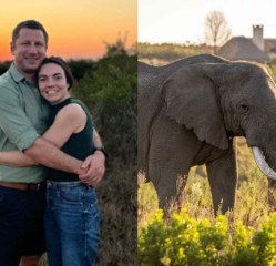 Empresário sul-africano é morto ao ser pisoteado por elefante em sua própria reserva de caça