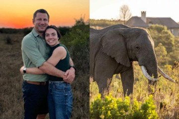 Reprodução/Instagram e Divulgação/Gondwana Private Game Reserve